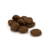 Salmon & Potato Working Dog Food
