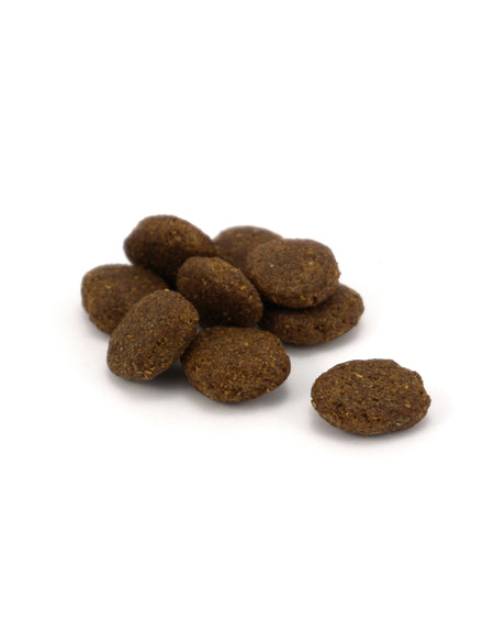 Salmon & Potato Working Dog Food