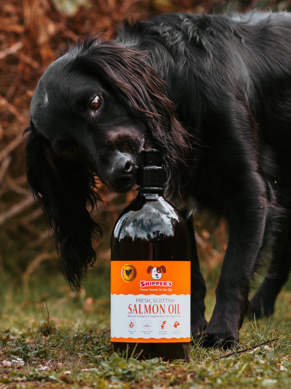 Scottish Salmon Oil for Dogs | 100% Natural Fish Oil with Omega 3