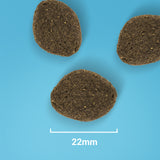 Salmon & Potato Working Dog Food