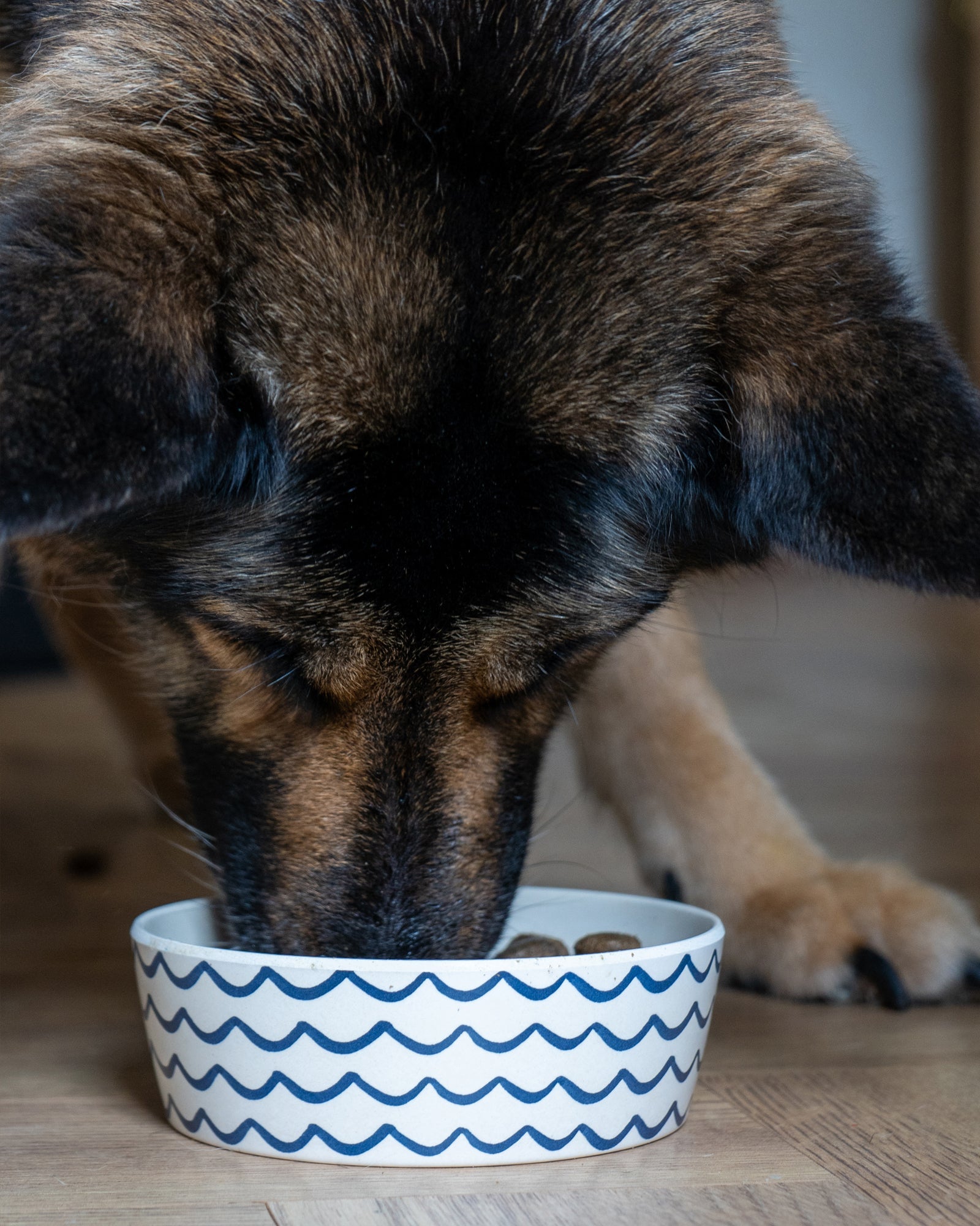 Salmon & Potato Working Dog Food - Skipper's Pet Products