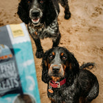 Skin & Coat Bundle - Skipper's Pet Products