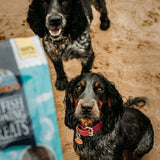 Skin & Coat Bundle - Skipper's Pet Products