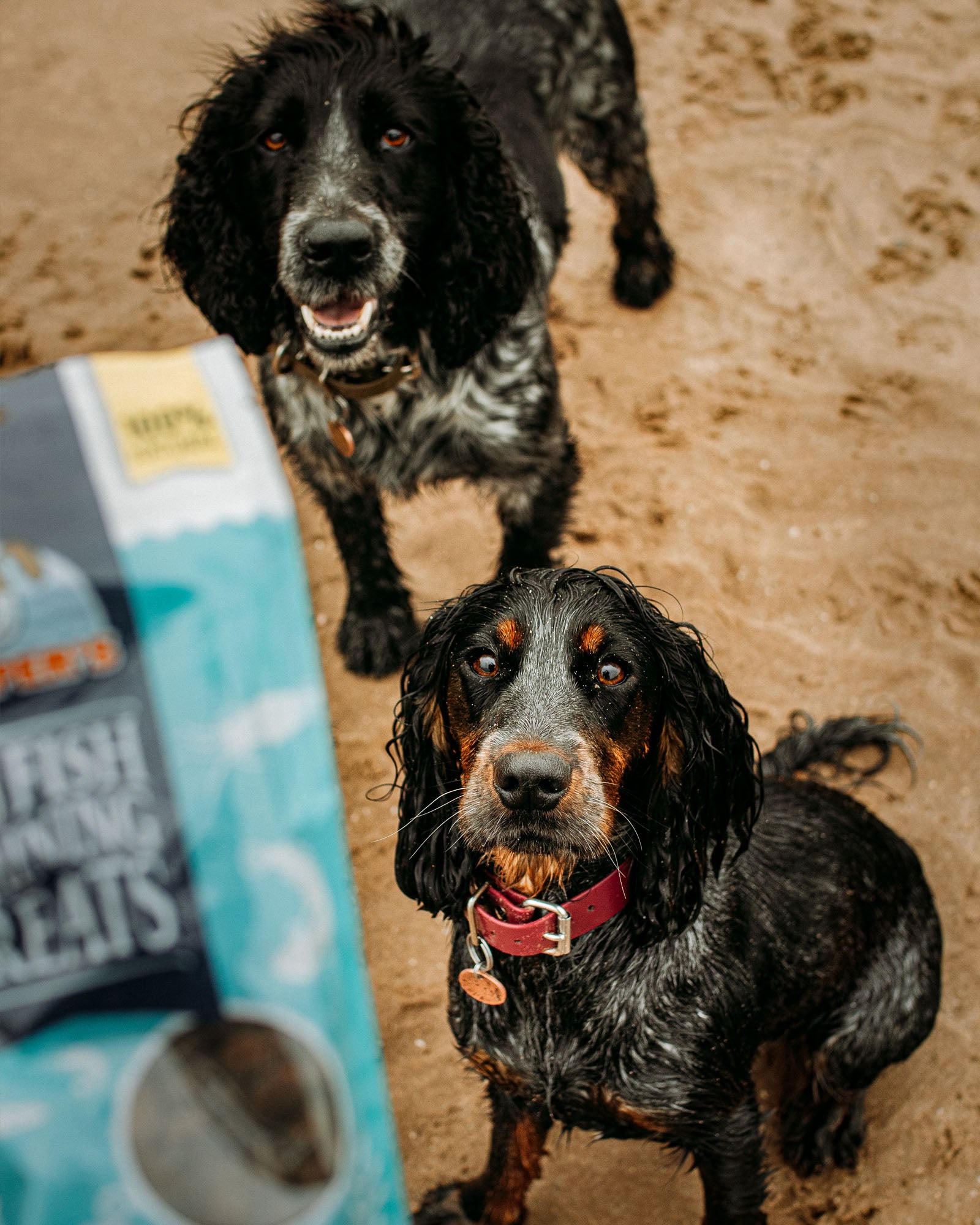 Skin & Coat Bundle - Skipper's Pet Products