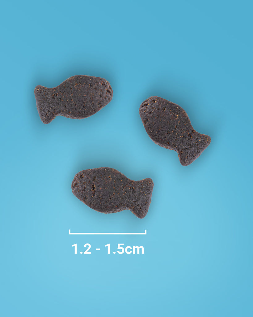 Fish Training Treats