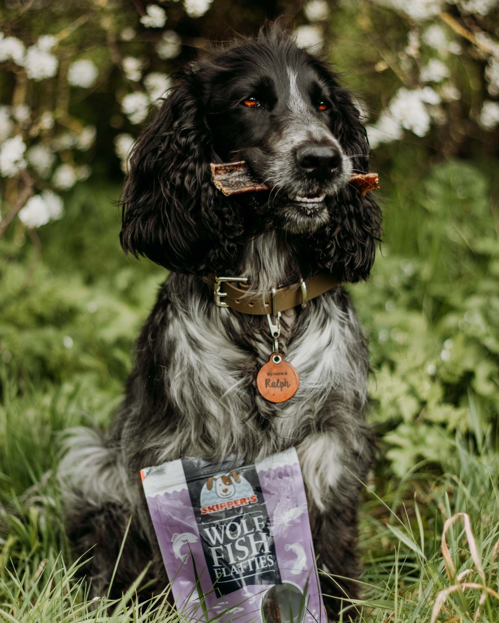 Wolf Fish Flatties - Skipper's Pet Products
