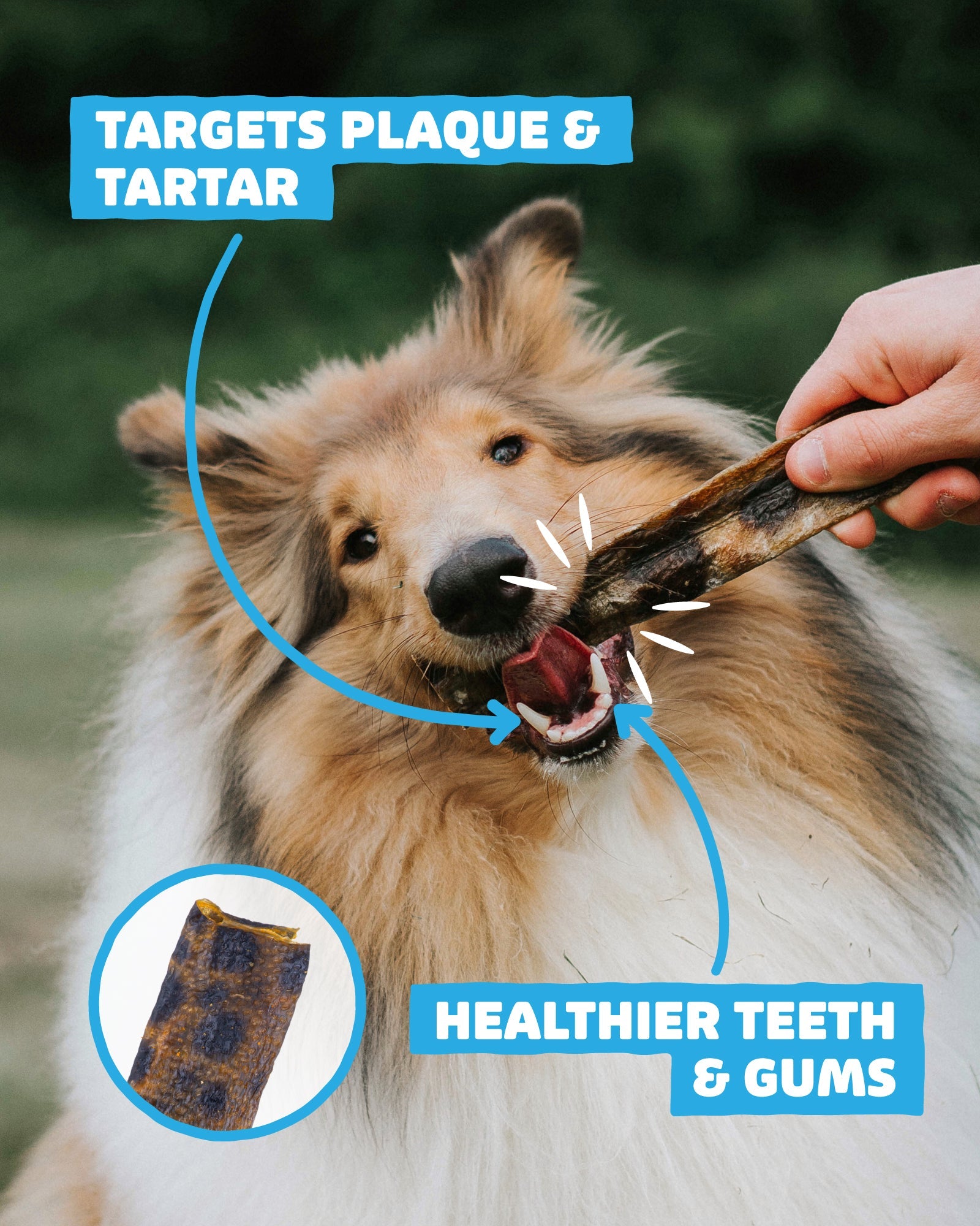 Wolf Fish Flatties - Skipper's Pet Products