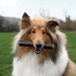Wolf Fish Throw Sticks - Skipper's Pet Products